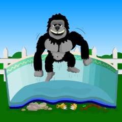 Gorilla Pool Liner Padding